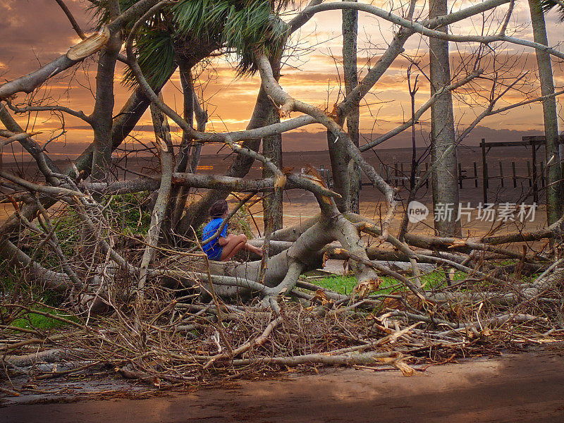 飓风过后，年轻女孩坐在河边的浮木上