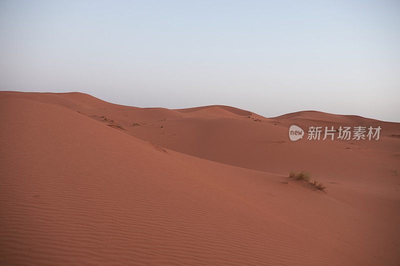 非洲,摩洛哥,这里到梅合组噶