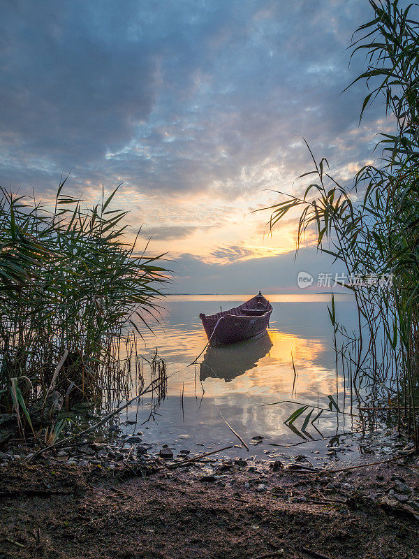 美丽的晨曦景色与一艘小船在湖上透过芦苇的日出