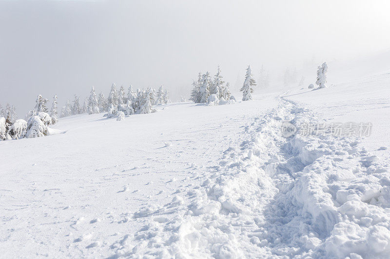 小径在雪