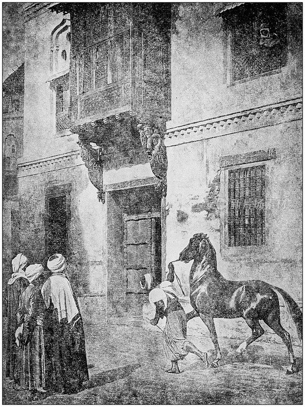 古董照片:埃及开罗的马商