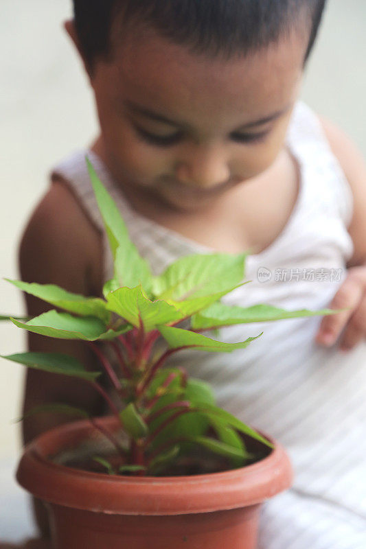 小女孩和植物幼苗