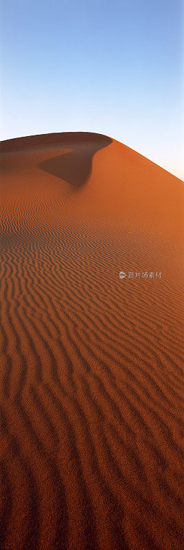 辛普森沙漠的沙丘
