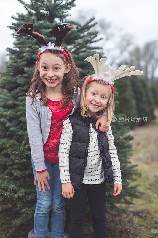两姐妹在圣诞树农场的肖像