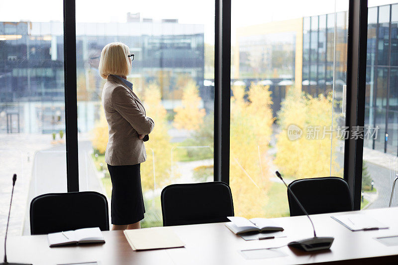 沉思的金发成熟的商务女士在正式的夹克和裙子站在全景窗口在会议室和思考城市