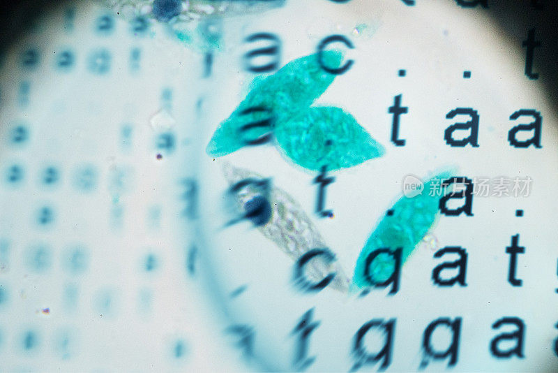 显微镜下的绿藻DNA密码