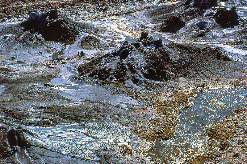 墨西哥墨西卡利塞罗·普列托地热系统的温泉和泥火山