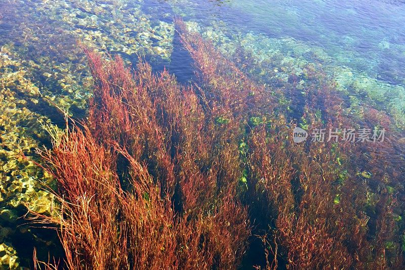 纯净清新的水背景