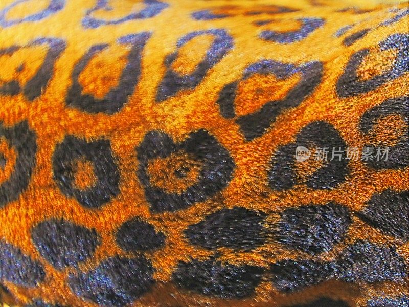 美洲豹毛皮斑点动物图案-潘塔纳尔湿地，巴西