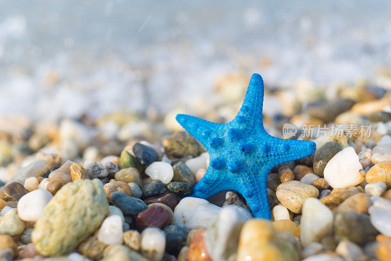 海浪中的蓝色海星