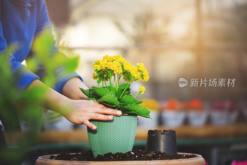 园丁和花匠在花盆里种花