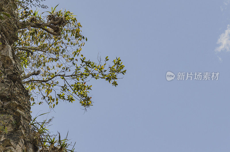 峡谷侧拷贝空间