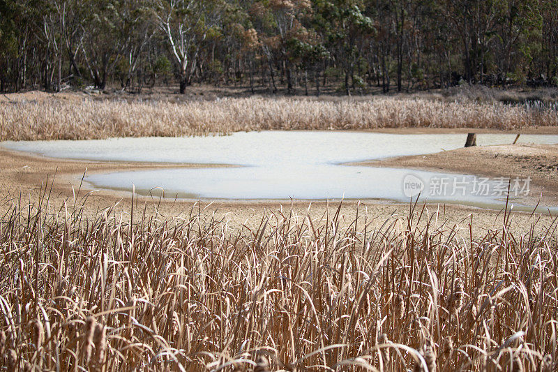 国家澳大利亚在干旱干旱地区