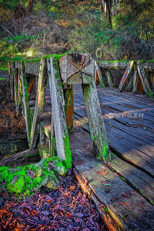 青苔覆盖着古老的木桥