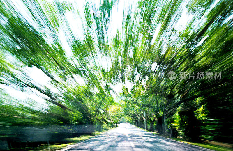 森林道路行驶，模糊运动