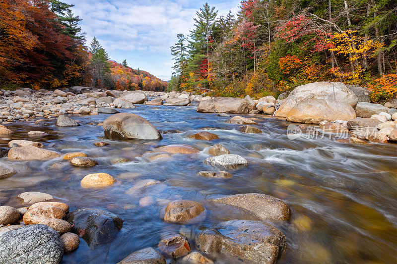 清澈的小溪流经新罕布什尔白山多彩的秋叶