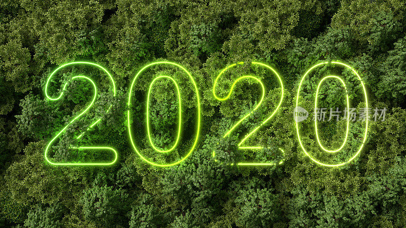 2020年