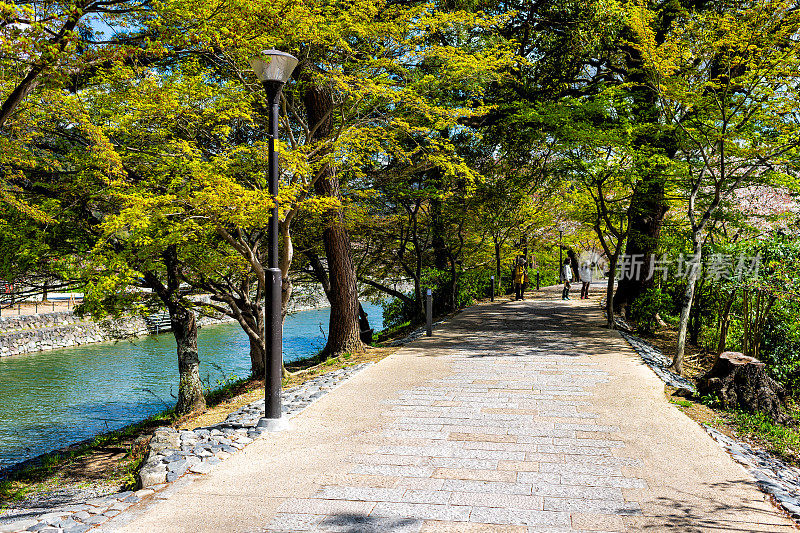 在樱花河边的传统村落里，春天的步道和人们在一起