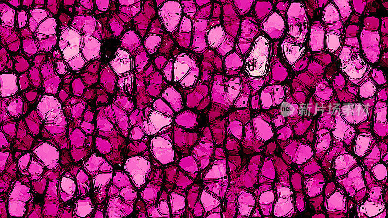 粉色抽象时尚细胞背景