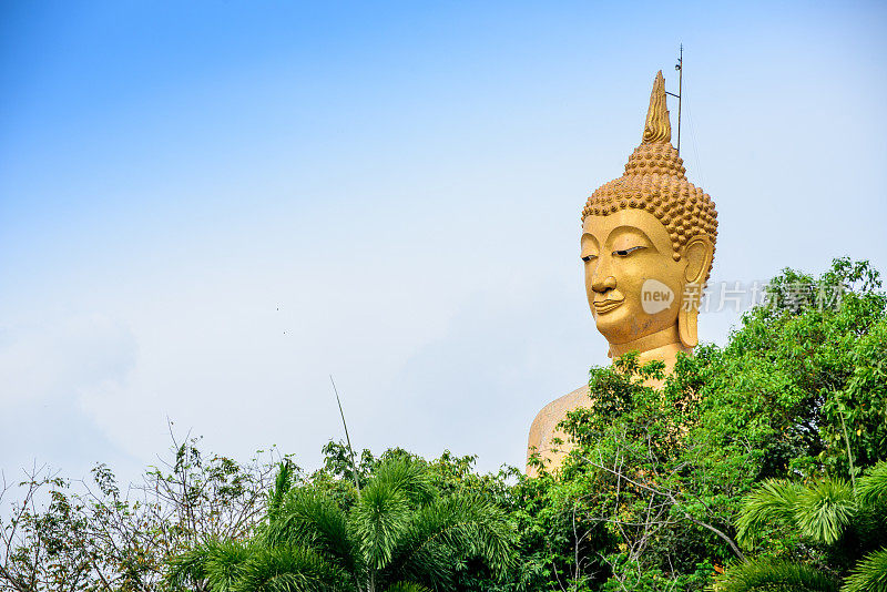 泰国辛布里省毗kulthong寺的金佛雕像