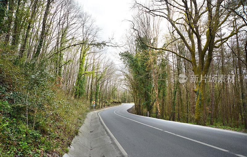 穿过森林的废弃的蜿蜒道路