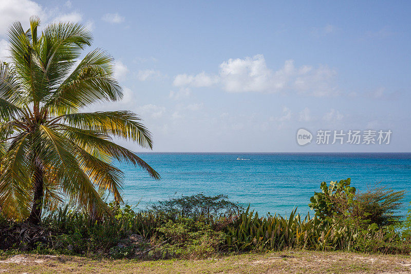 巴巴多斯的海景