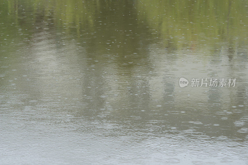 春雨洒满池塘