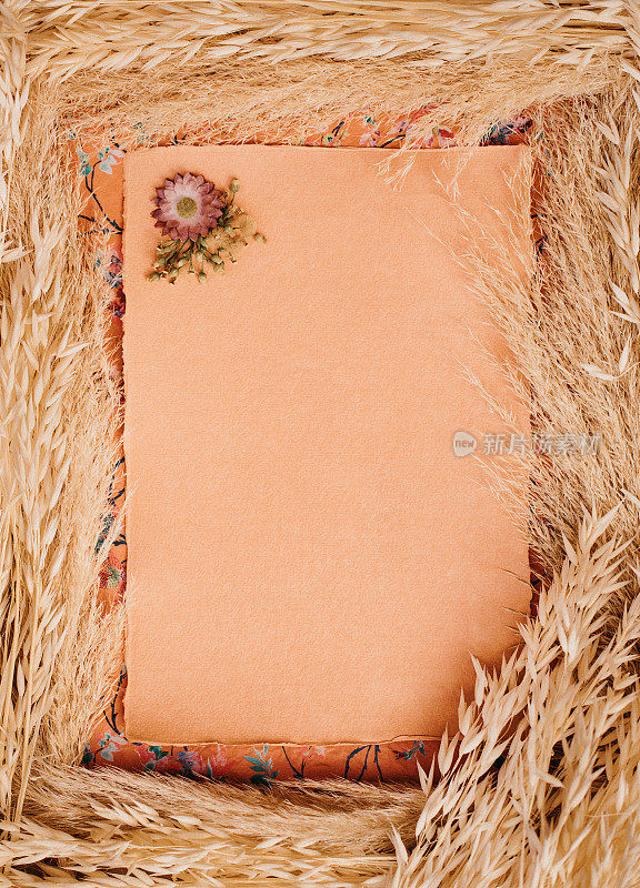 空白手工纸潘帕斯草和干燥的谷类植物手工纸在波西米亚风格