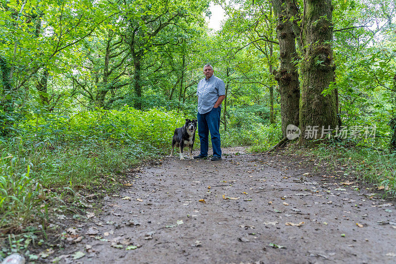 老白人带着狗在森林里