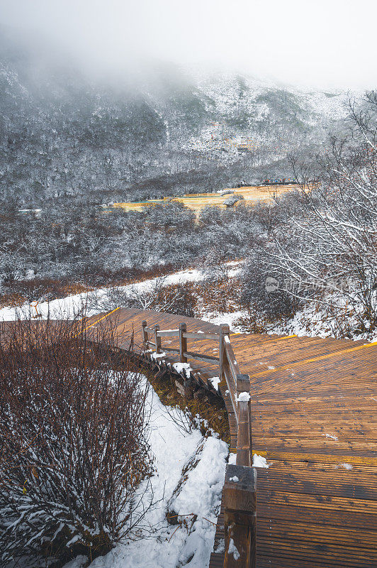 黄龙和九寨沟国家公园的木桥步道，中国四川，下雪了