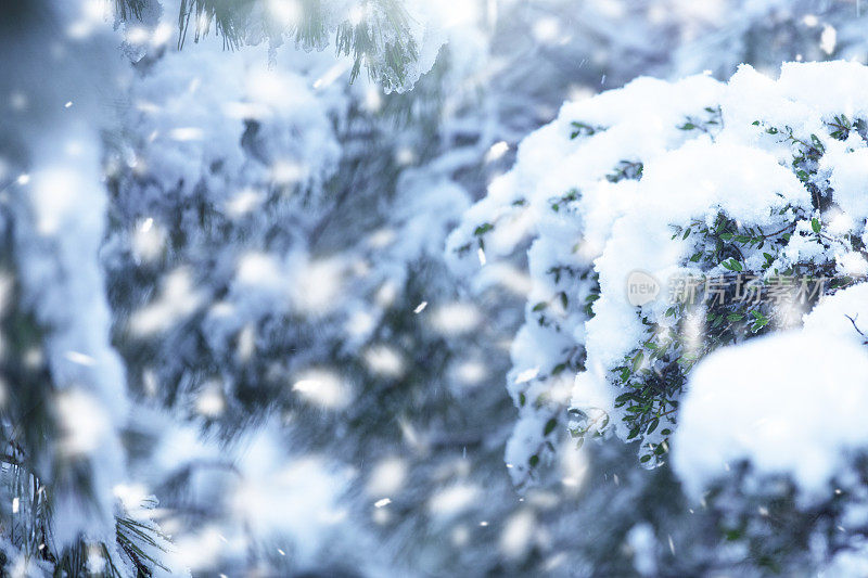 冬天下雪的背景