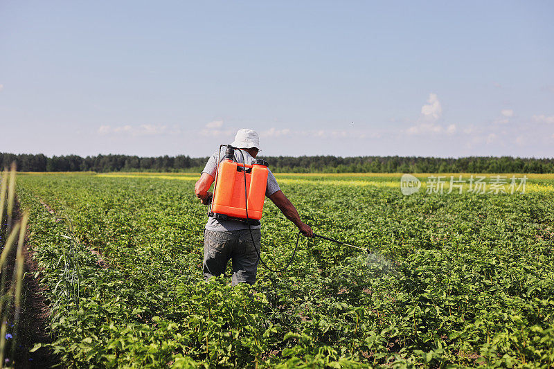 一个农民用喷雾器处理马铃薯种植园的害虫和真菌感染。在农业中使用化学药品。农业和农业综合企业。收获处理。保护和照顾