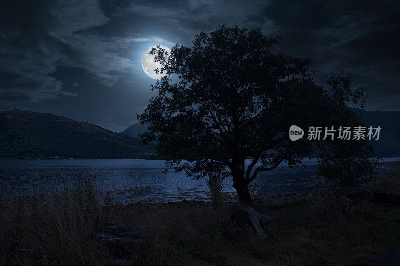 月夜场景的合成图像与满月在利文湖和突出的剪影树在前景。