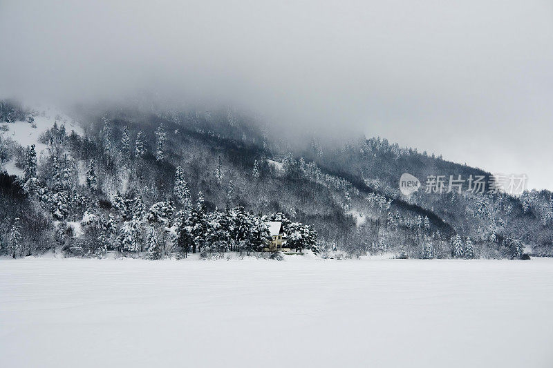 雪-冬天的背景。