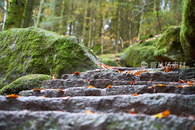 从森林中的许多台阶近距离拍摄，楼梯向上，被苔藓的石头和树木包围。