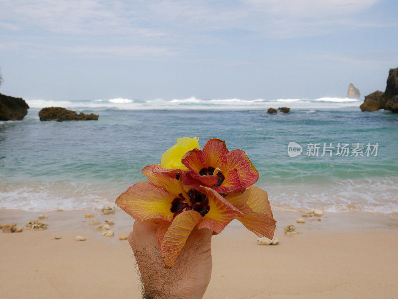 一组热带花卉在沙滩的背景