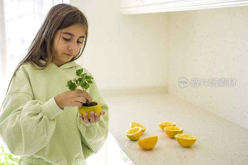 美丽的女孩又在土壤里发芽了