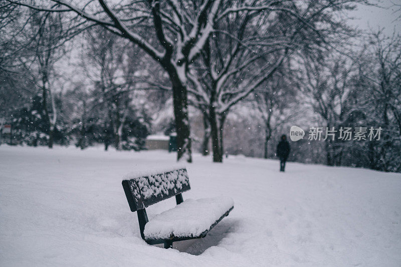 蒙特利尔下大雪