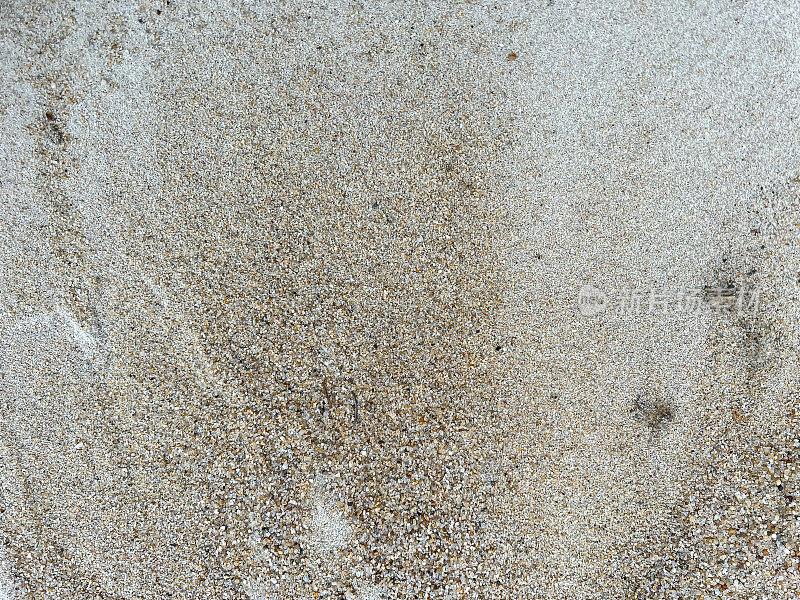 湿润的沙子作为质地或背景。