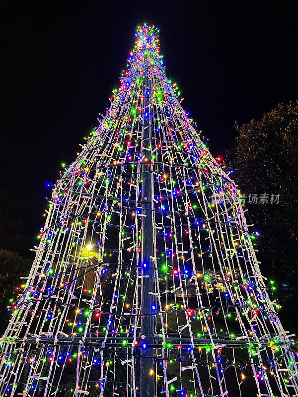 夜间的图片，大型户外圣诞树的顶端装饰着多种颜色的仙女灯装饰，黑暗的天空，从下面看