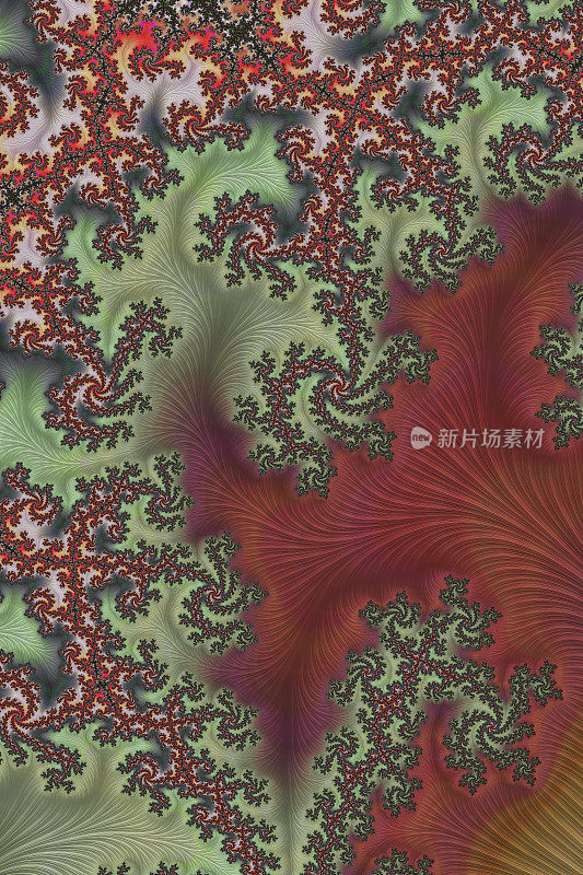 鸟瞰图植物学分形