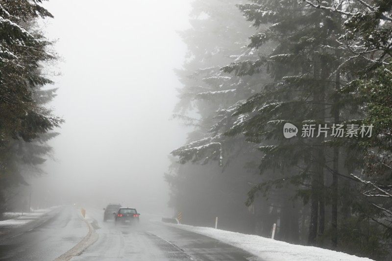 温哥华岛高速公路上的四月雪