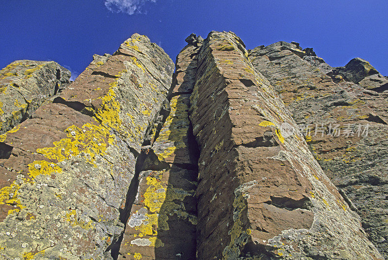 怀俄明州黄石国家公园Sheepeater悬崖上的柱状玄武岩。地衣覆盖岩石。