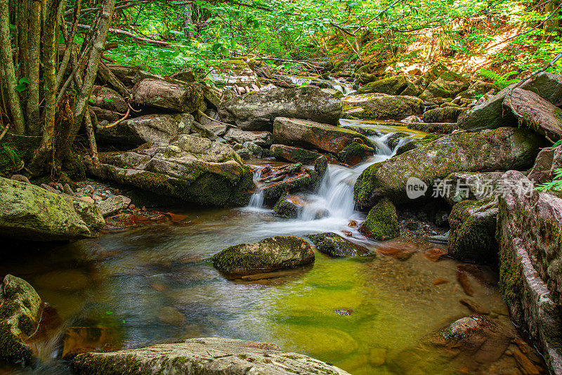 塞尔维亚森林里清澈的山涧