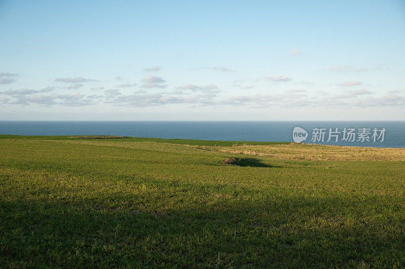 海边的绿草地