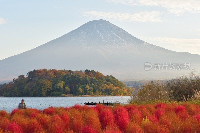 山梨县川口湖畔的富士山