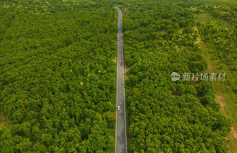 鸟瞰郊区树木之间的道路