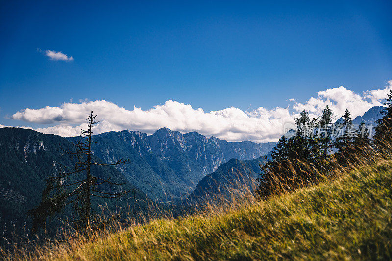 风景如画的特里格拉夫山全景