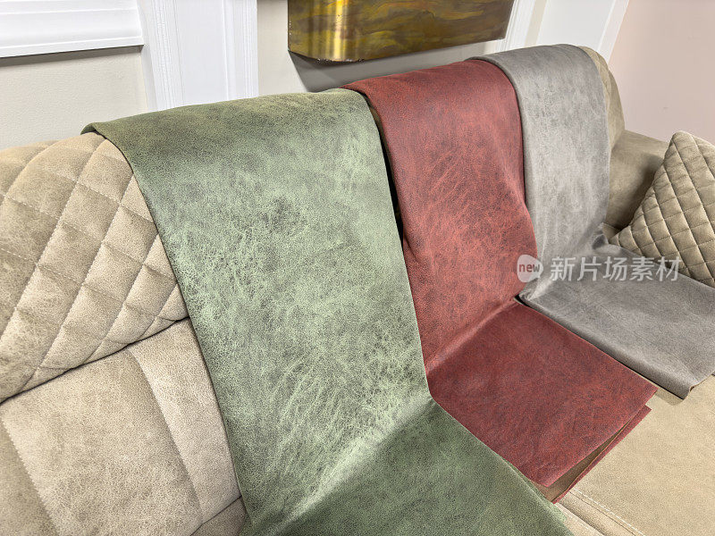 沙发和室内装饰的样品颜色