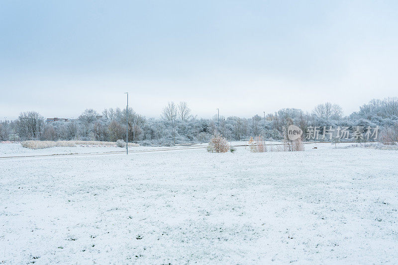 一个寒冷的早晨，本季的第一层雪